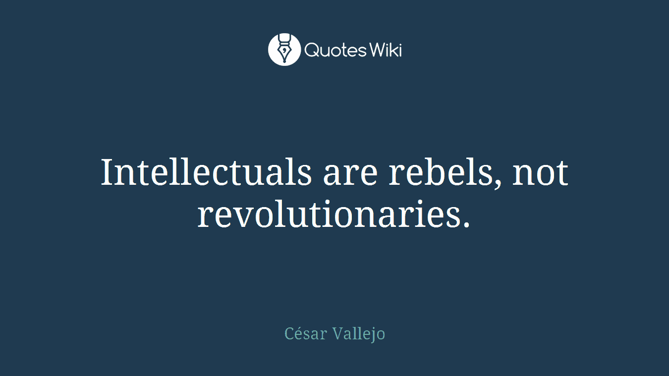 Intellectuals are rebels, not revolutionaries.