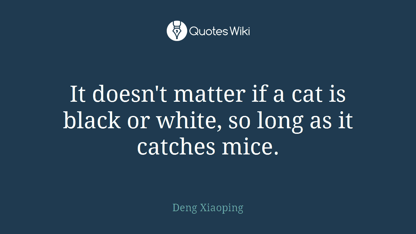 It doesn't matter if a cat is black or white, so long as it catches mice.