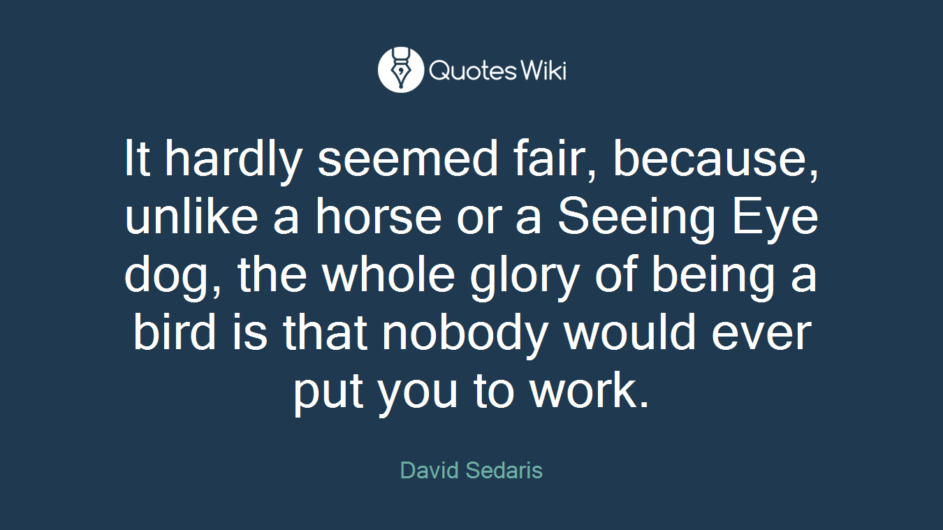 It hardly seemed fair, because, unlike a horse or a Seeing Eye dog, the whole glory of being a bird is that nobody would ever put you to work.