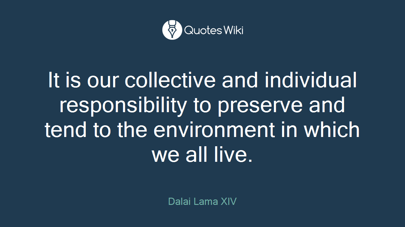 It is our collective and individual responsibility to preserve and tend to the environment in which we all live.