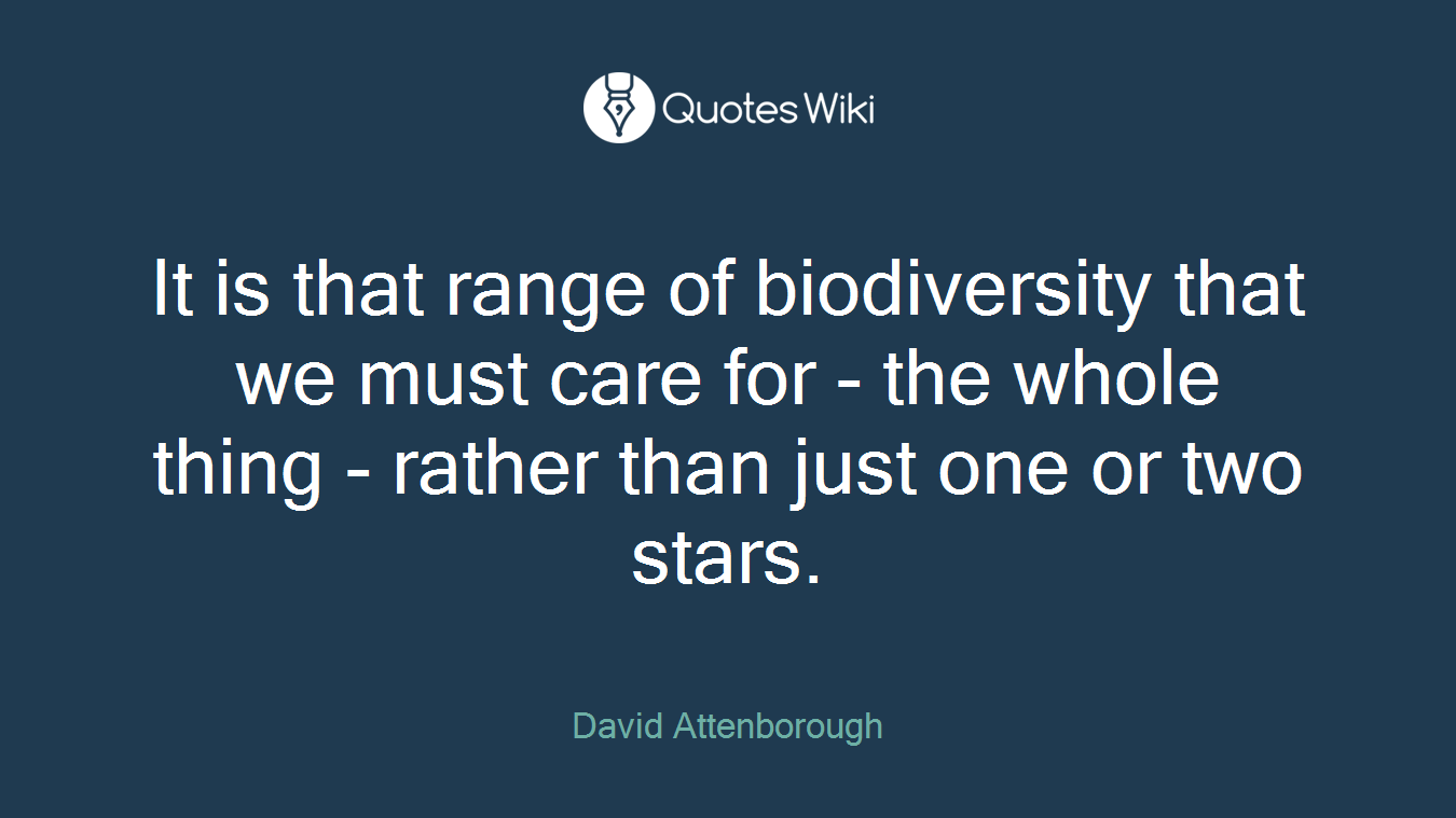 It is that range of biodiversity that we must care for - the whole thing - rather than just one or two stars.