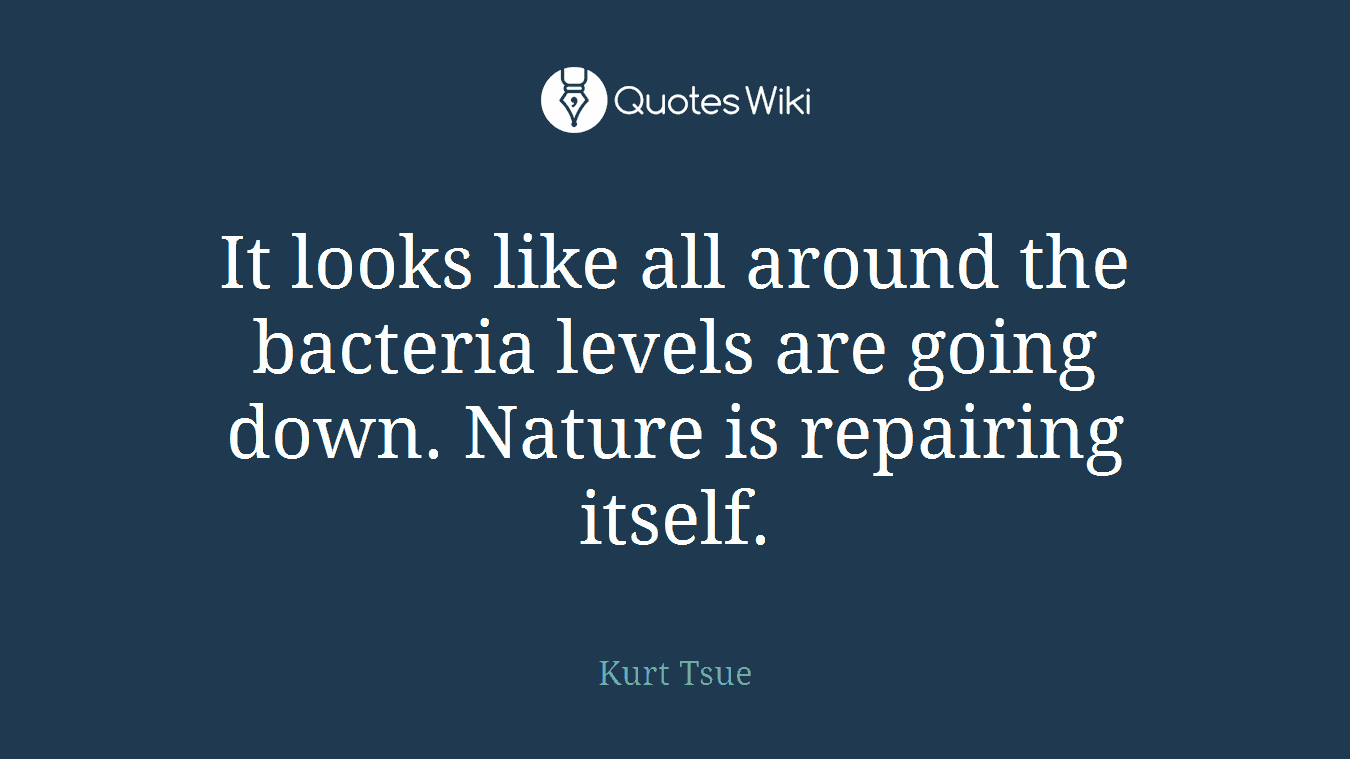 It looks like all around the bacteria levels are going down. Nature is repairing itself.
