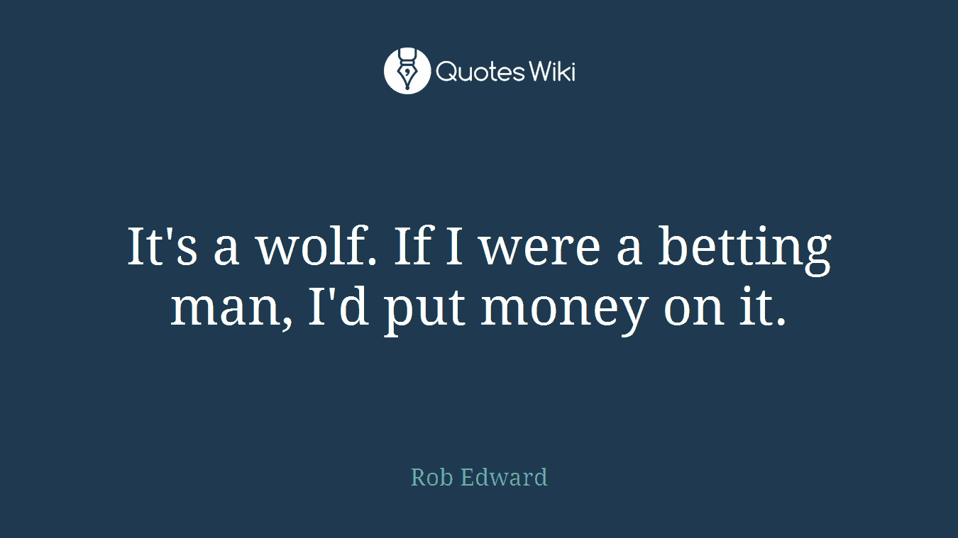 It's a wolf. If I were a betting man, I'd put money on it.