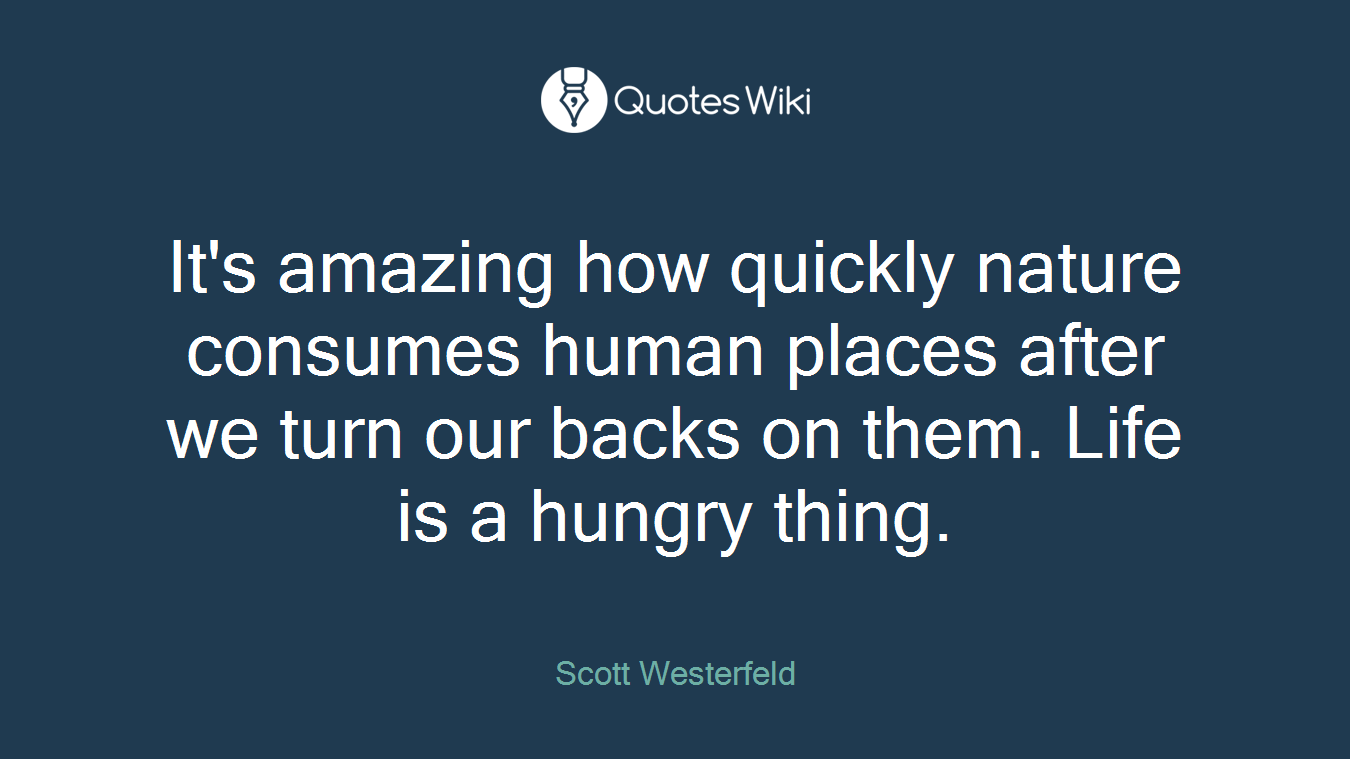 It's amazing how quickly nature consumes human places after we turn our backs on them. Life is a hungry thing.