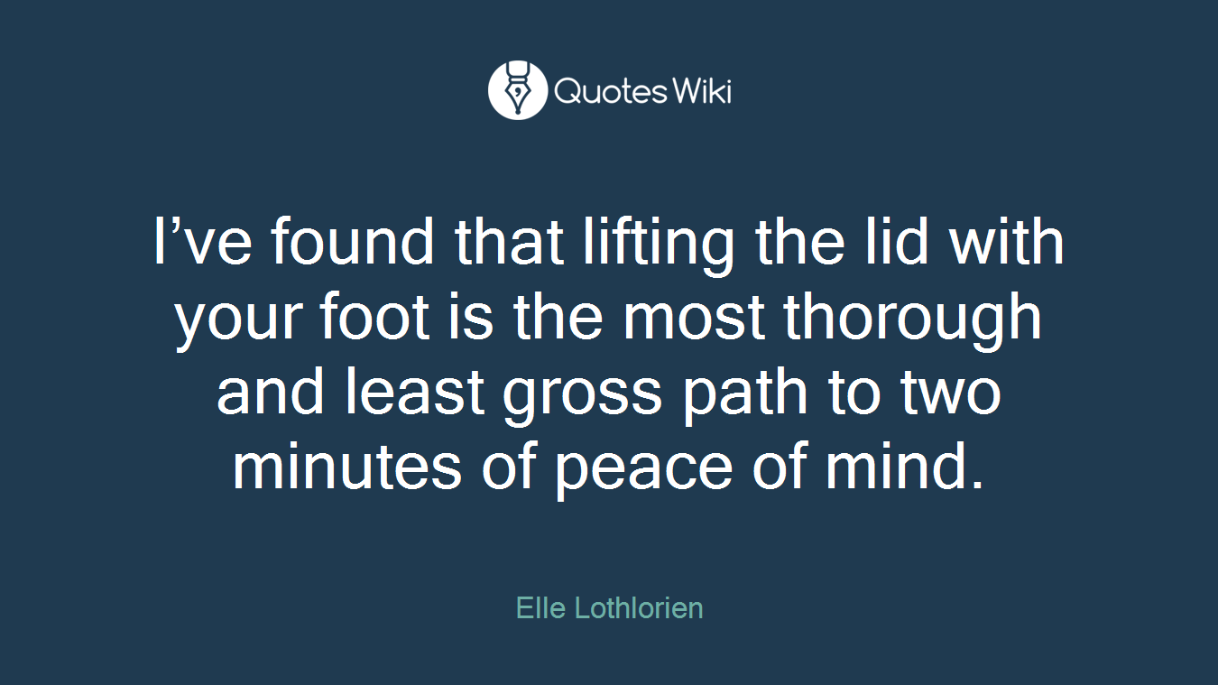 I’ve found that lifting the lid with your foot is the most thorough and least gross path to two minutes of peace of mind.