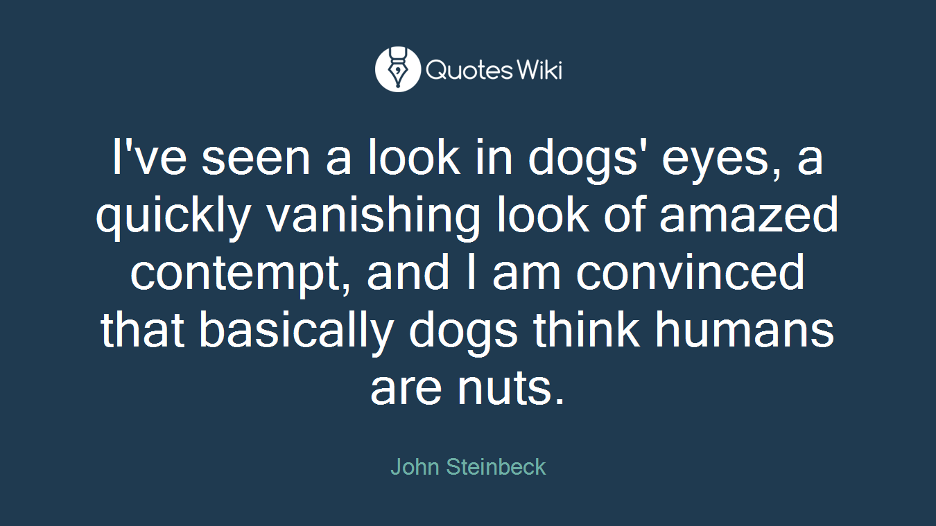 I've seen a look in dogs' eyes, a quickly vanishing look of amazed contempt, and I am convinced that basically dogs think humans are nuts.