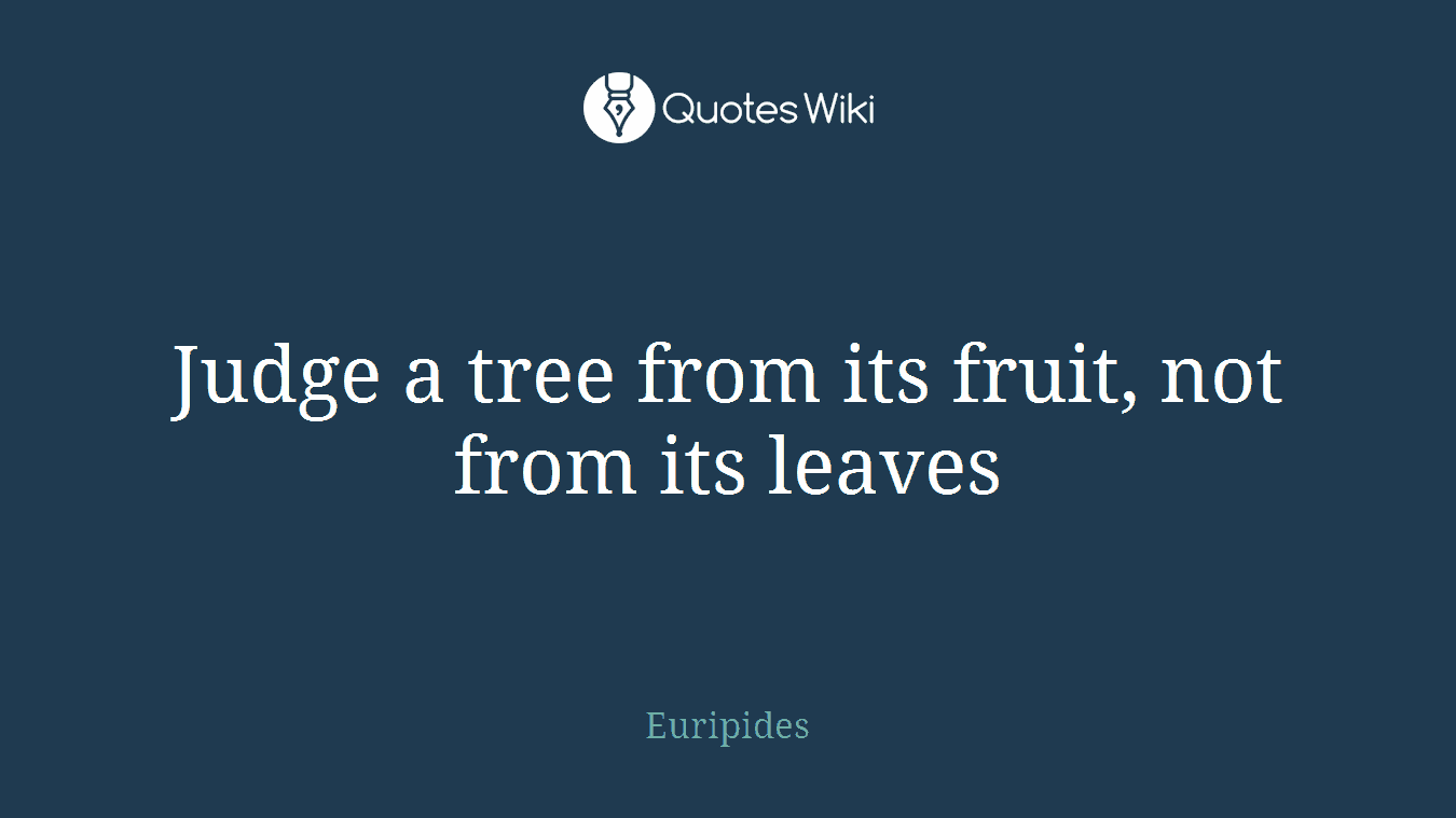 Judge a tree from its fruit, not from its leaves