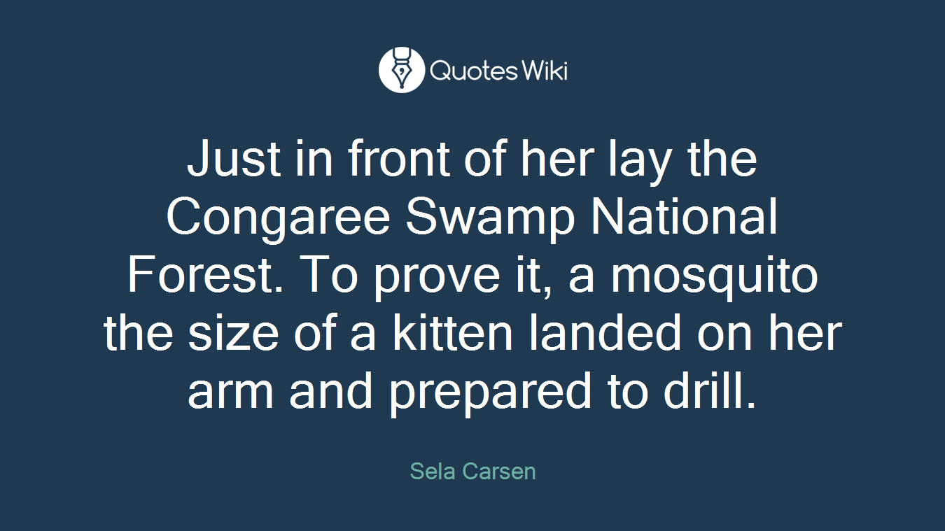 Just in front of her lay the Congaree Swamp National Forest. To prove it, a mosquito the size of a kitten landed on her arm and prepared to drill.