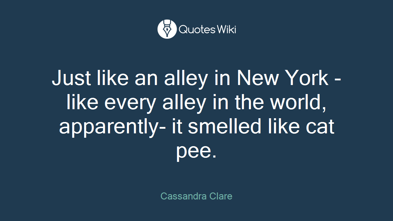 Just like an alley in New York -like every alley in the world, apparently- it smelled like cat pee.