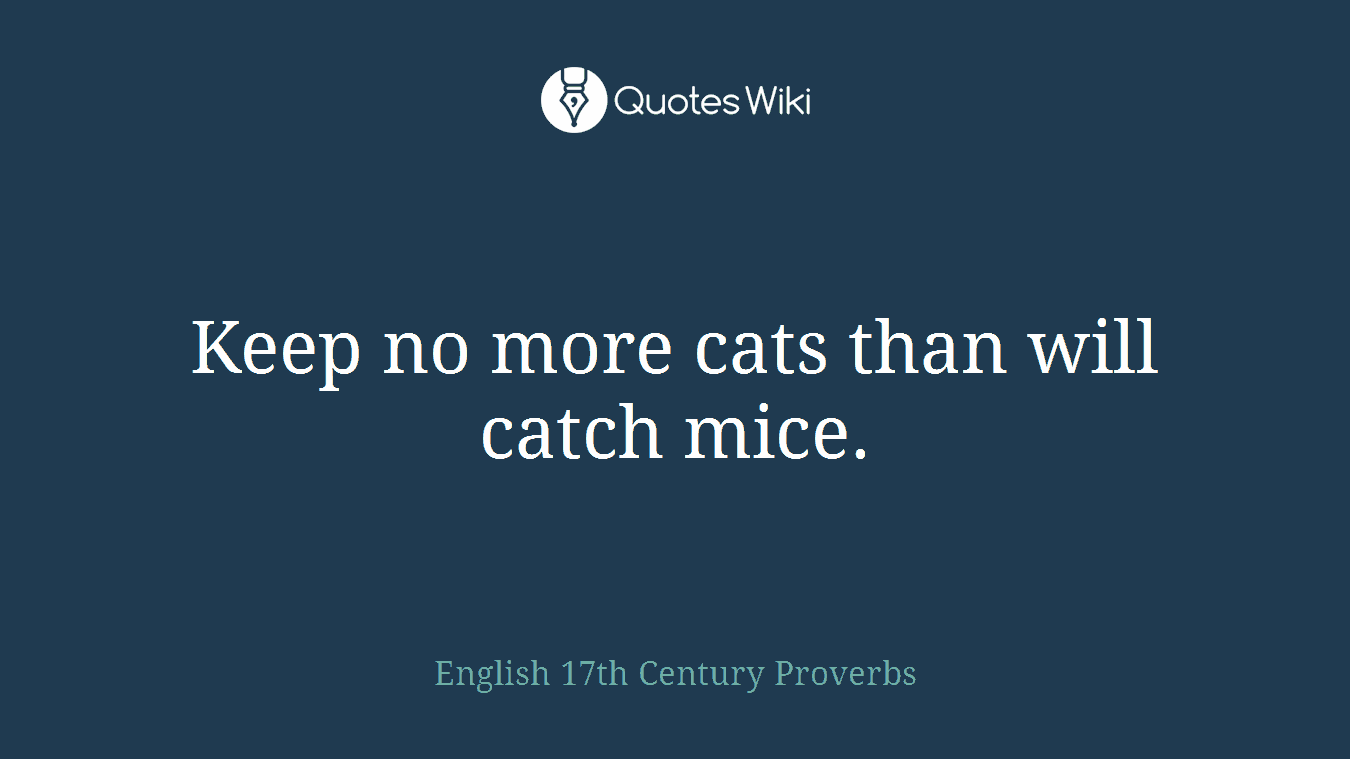 Keep no more cats than will catch mice.