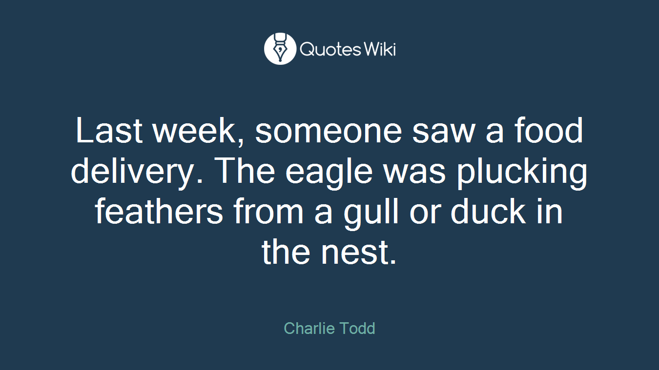 Last week, someone saw a food delivery. The eagle was plucking feathers from a gull or duck in the nest.