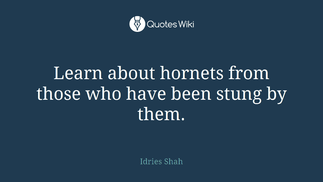 Learn about hornets from those who have been stung by them.