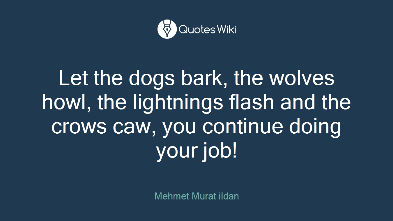 Let the dogs bark, the wolves howl, the lightnings flash and the crows caw, you continue doing your job!