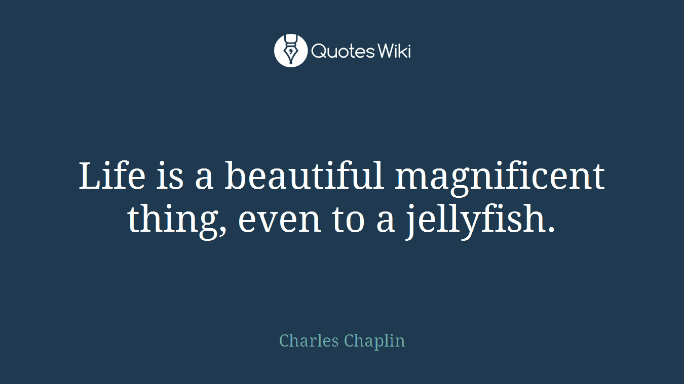 Life is a beautiful magnificent thing, even to a jellyfish.