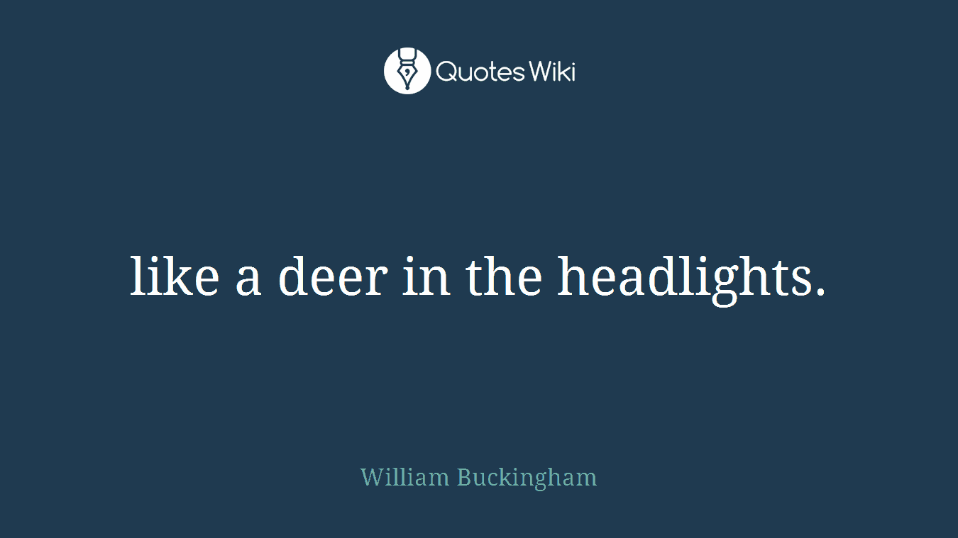 like a deer in the headlights.