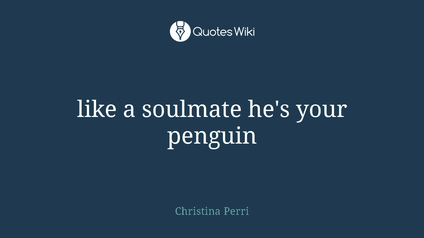 like a soulmate he's your penguin