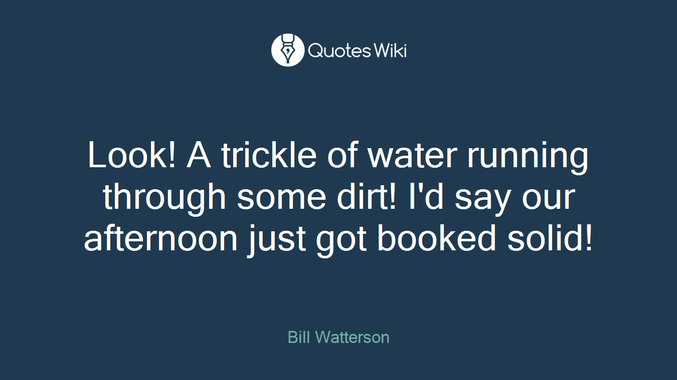 Look! A trickle of water running through some dirt! I'd say our afternoon just got booked solid!