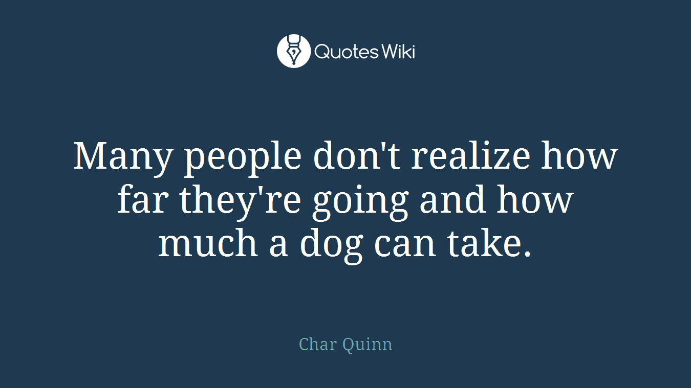 Many people don't realize how far they're going and how much a dog can take.