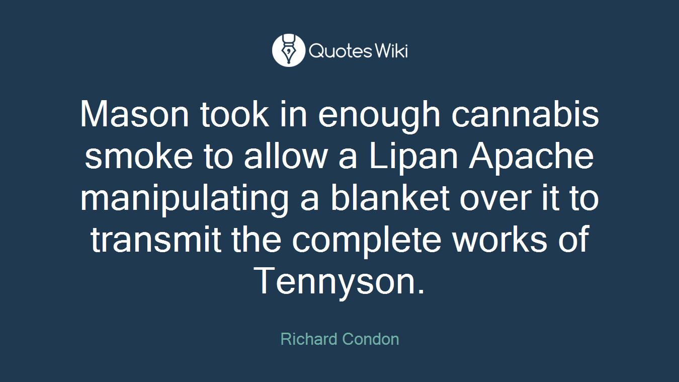 Mason took in enough cannabis smoke to allow a Lipan Apache manipulating a blanket over it to transmit the complete works of Tennyson.