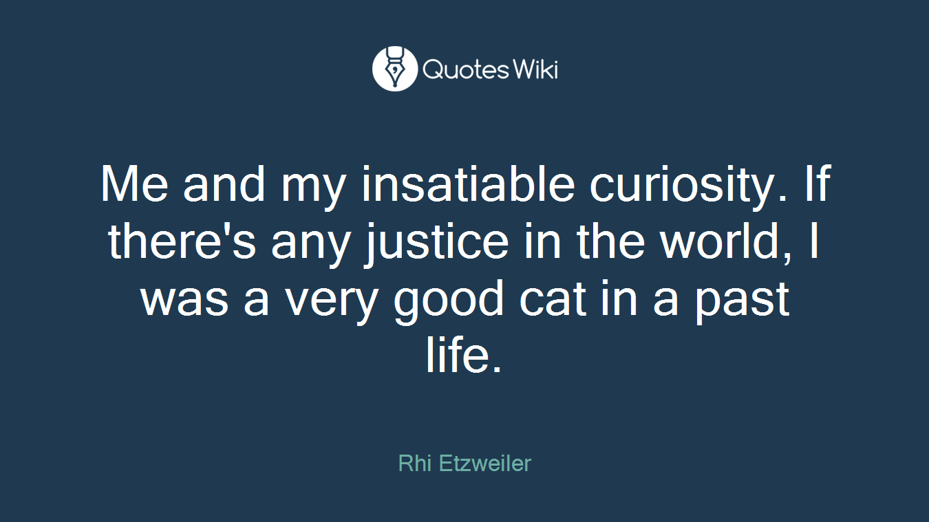 Me and my insatiable curiosity. If there's any justice in the world, I was a very good cat in a past life.