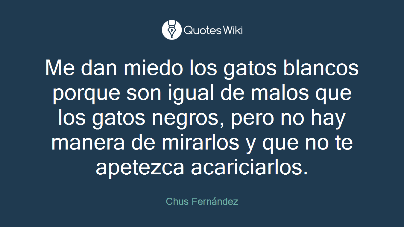 Me dan miedo los gatos blancos porque son igual de malos que los gatos negros, pero no hay manera de mirarlos y que no te apetezca acariciarlos.