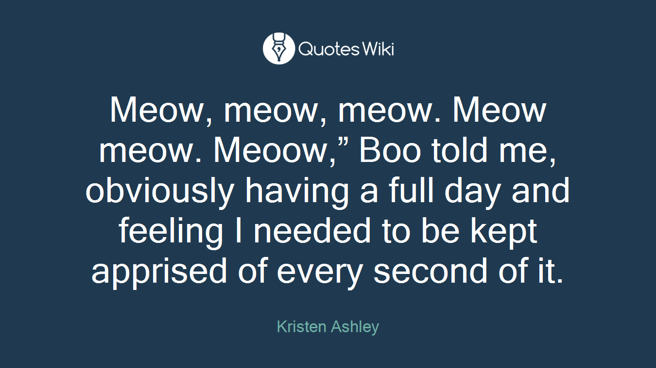Meow, meow, meow. Meow meow. Meoow,” Boo told me, obviously having a full day and feeling I needed to be kept apprised of every second of it.