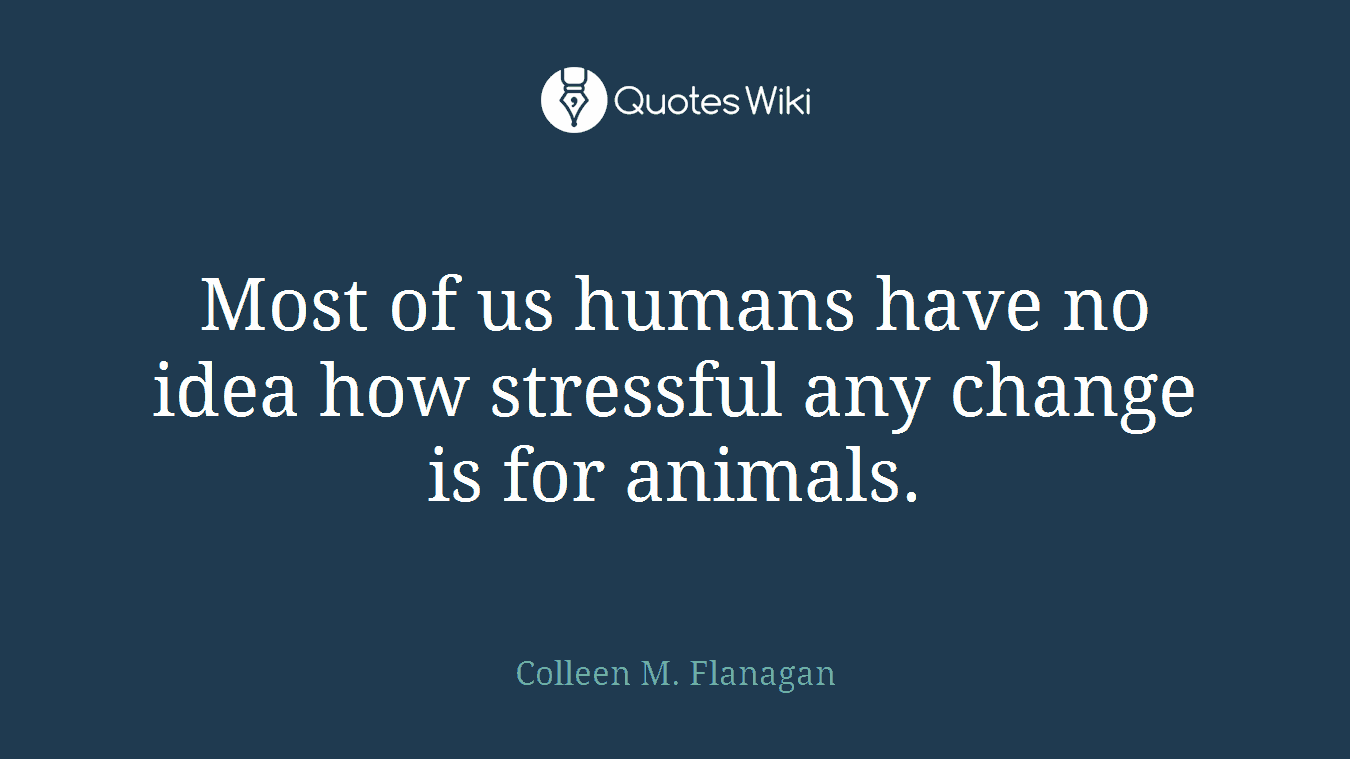 Most of us humans have no idea how stressful any change is for animals.