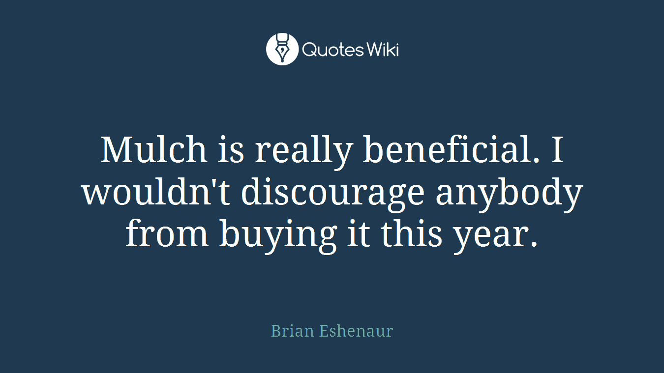 Mulch is really beneficial. I wouldn't discourage anybody from buying it this year.