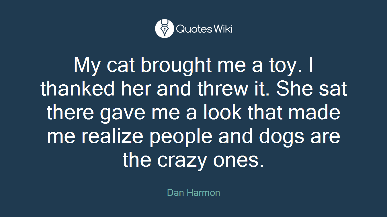 My cat brought me a toy. I thanked her and threw it. She sat there gave me a look that made me realize people and dogs are the crazy ones.