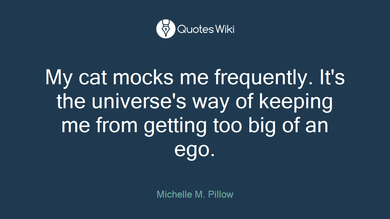 My cat mocks me frequently. It's the universe's way of keeping me from getting too big of an ego.