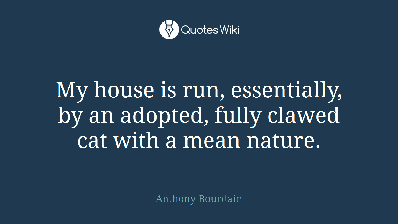 My house is run, essentially, by an adopted, fully clawed cat with a mean nature.
