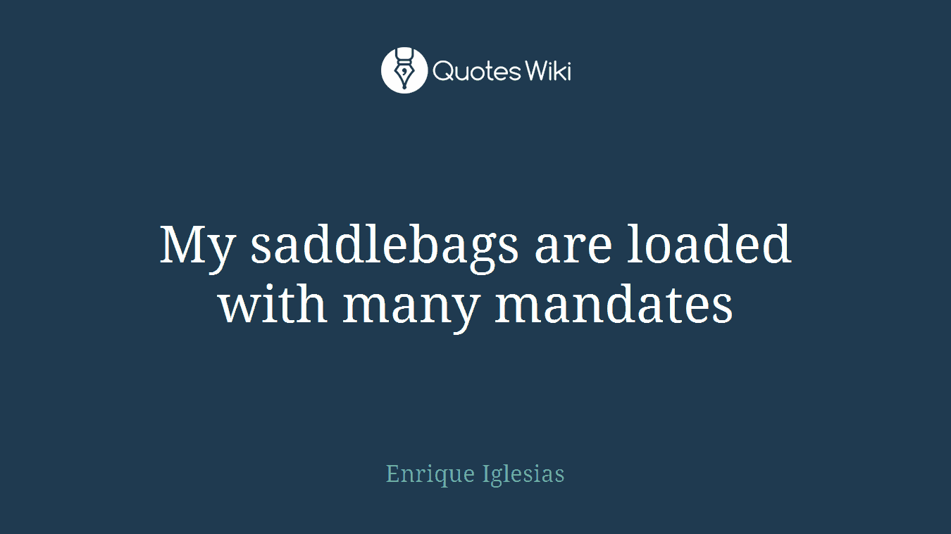 My saddlebags are loaded with many mandates