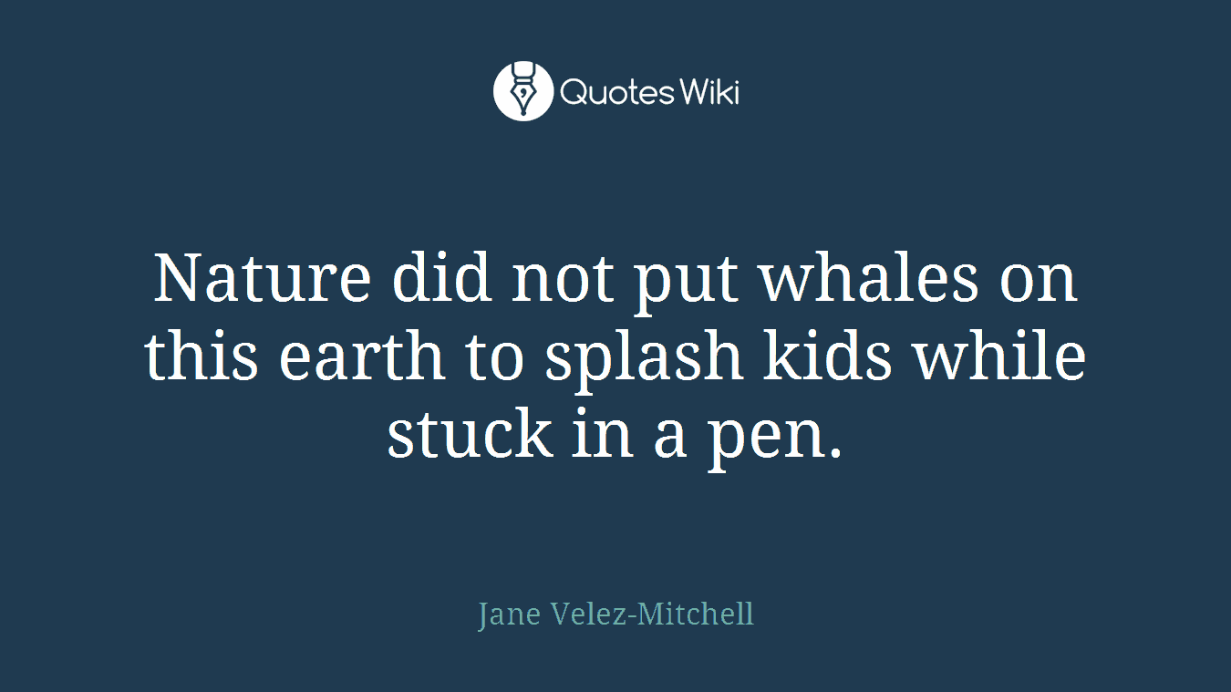 Nature did not put whales on this earth to splash kids while stuck in a pen.