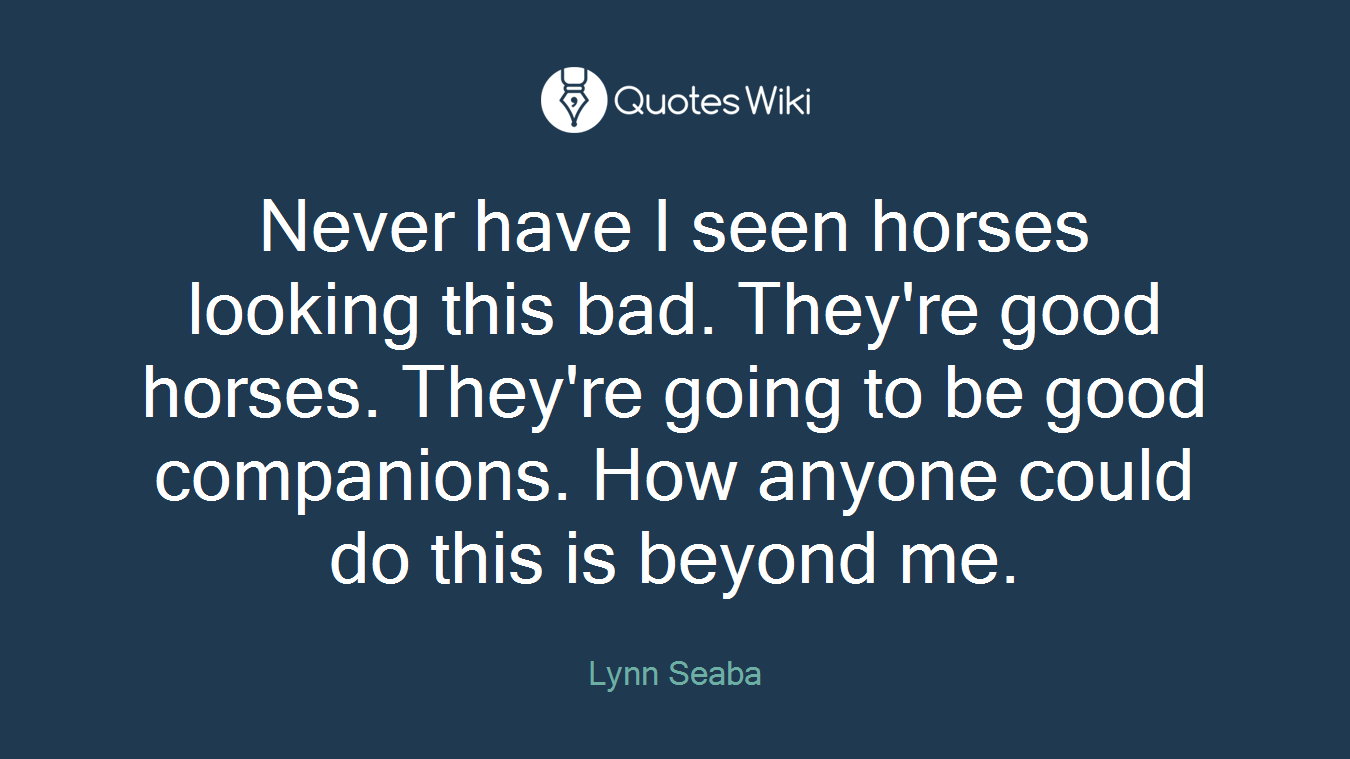 Never have I seen horses looking this bad. They're good horses. They're going to be good companions. How anyone could do this is beyond me.