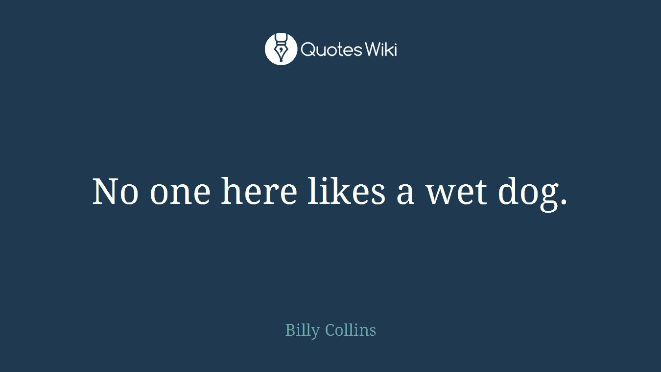 No one here likes a wet dog.