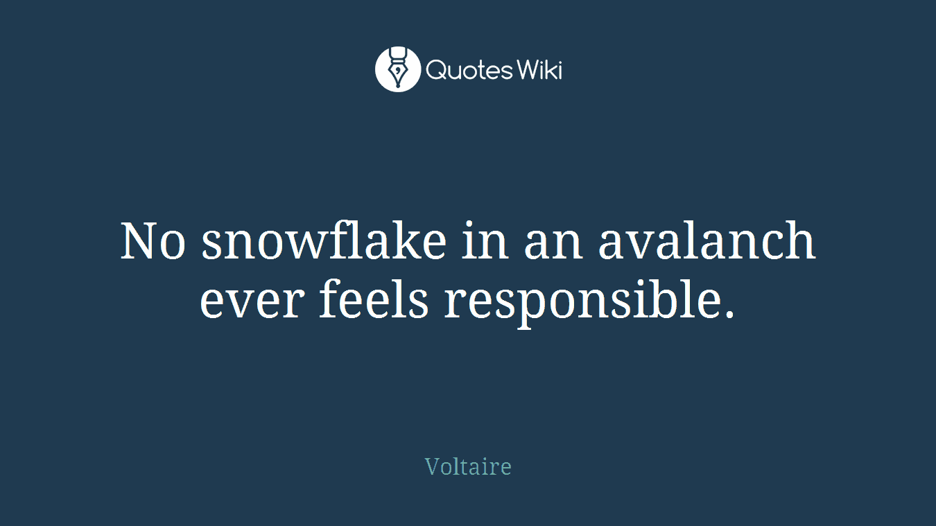 No snowflake in an avalanch ever feels responsible.