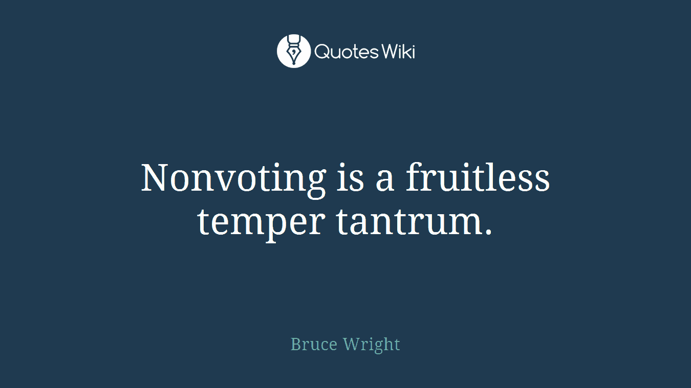 Nonvoting is a fruitless temper tantrum.