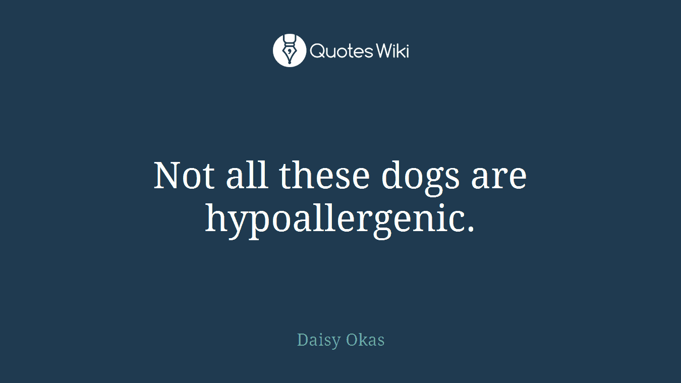 Not all these dogs are hypoallergenic.