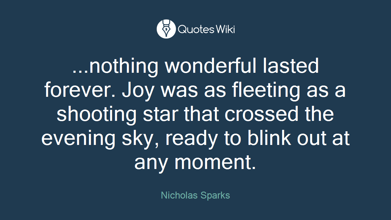 ...nothing wonderful lasted forever. Joy was as fleeting as a shooting star that crossed the evening sky, ready to blink out at any moment.