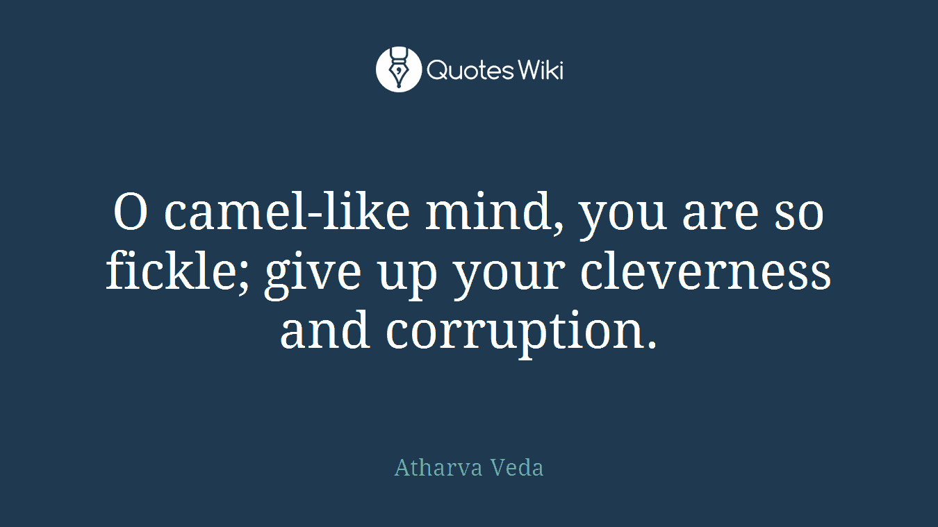 O camel-like mind, you are so fickle; give up your cleverness and corruption.