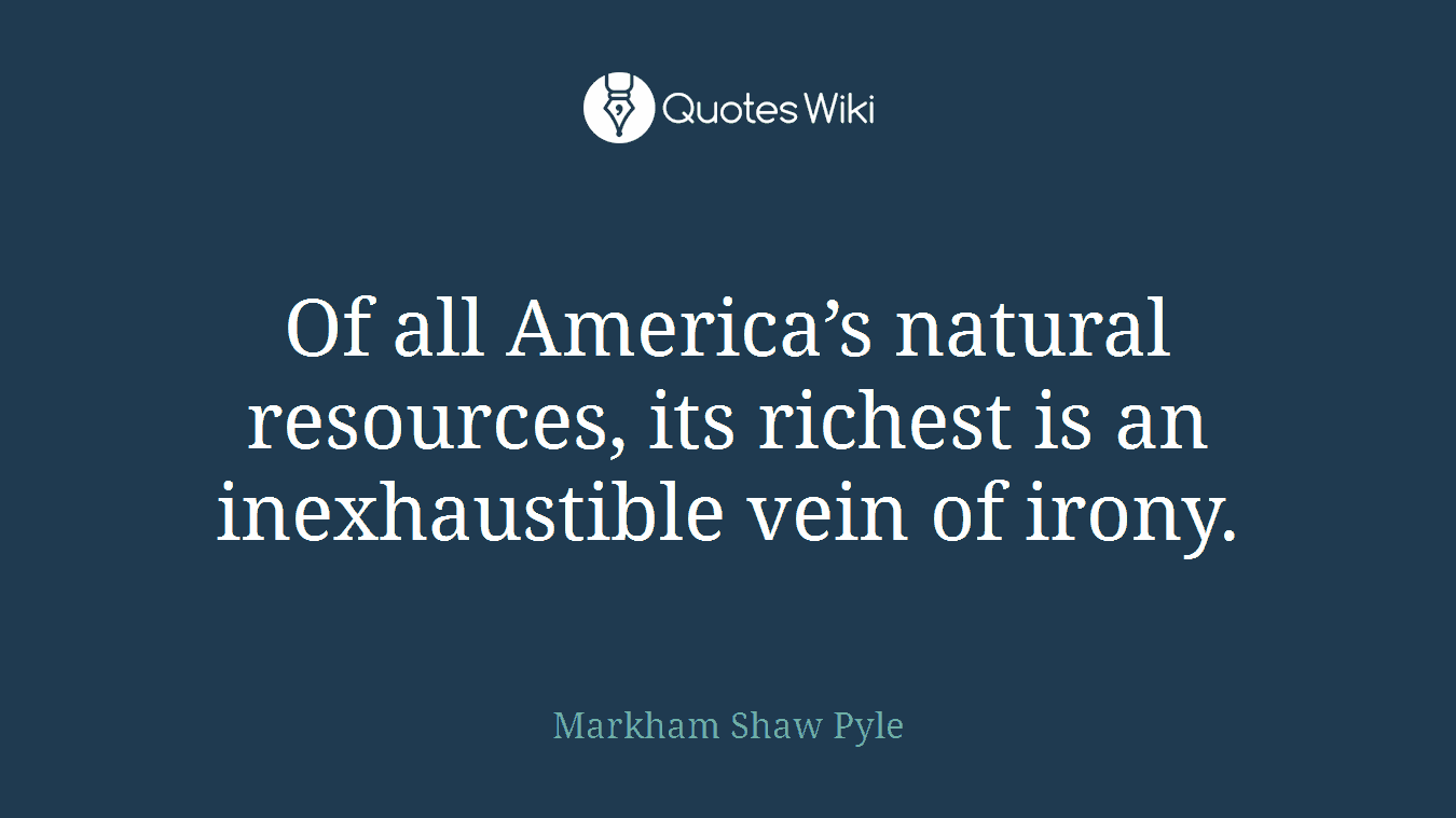 Of all America’s natural resources, its richest is an inexhaustible vein of irony.
