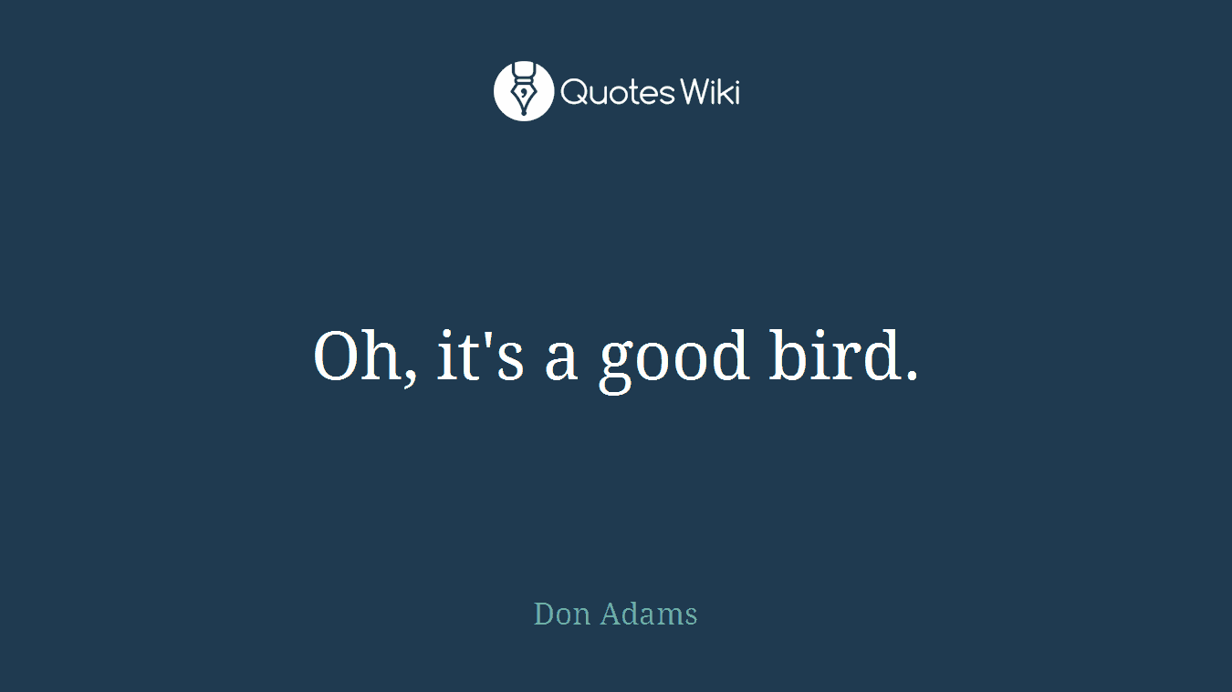 Oh, it's a good bird.