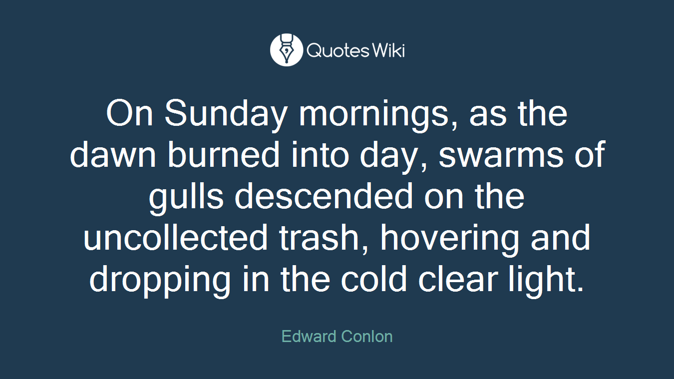 On Sunday mornings, as the dawn burned into day, swarms of gulls descended on the uncollected trash, hovering and dropping in the cold clear light.