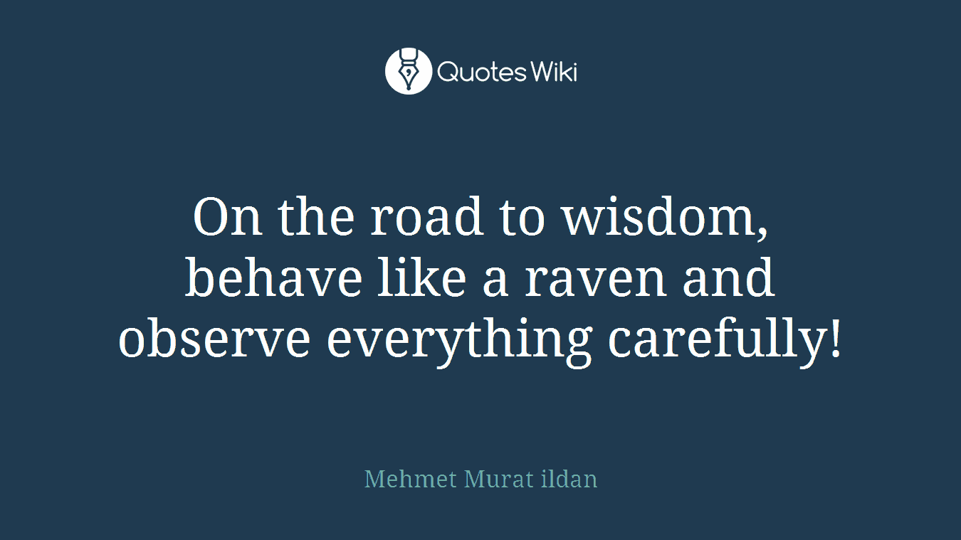 On the road to wisdom, behave like a raven and observe everything carefully!
