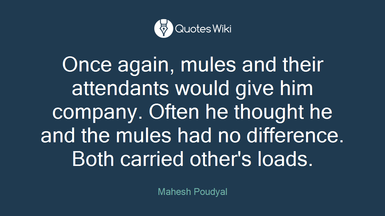 Once again, mules and their attendants would give him company. Often he thought he and the mules had no difference. Both carried other's loads.