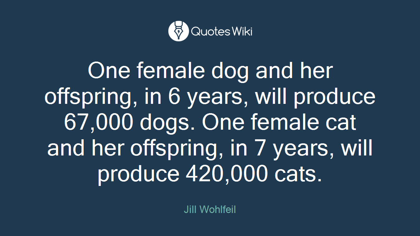 One female dog and her offspring, in 6 years, will produce 67,000 dogs. One female cat and her offspring, in 7 years, will produce 420,000 cats.