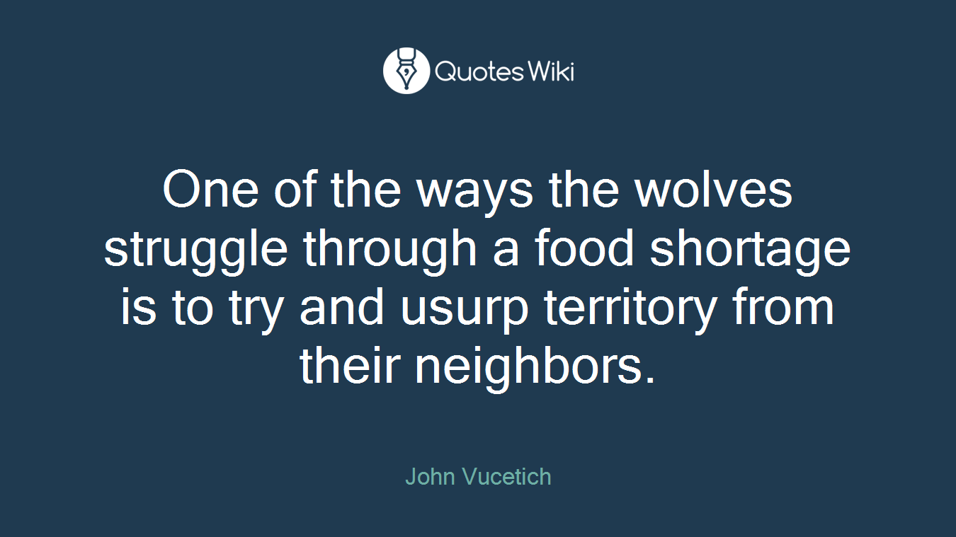One of the ways the wolves struggle through a food shortage is to try and usurp territory from their neighbors.