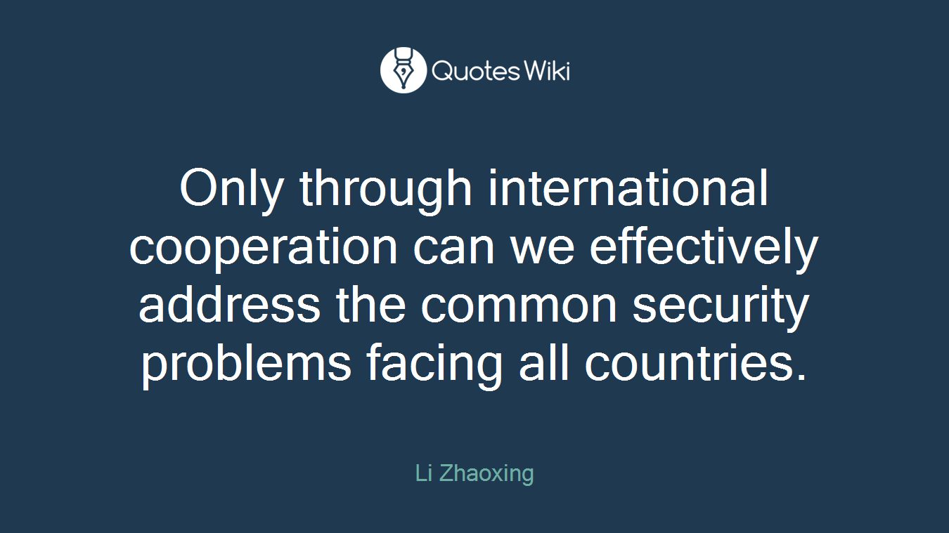 Only through international cooperation can we effectively address the common security problems facing all countries.