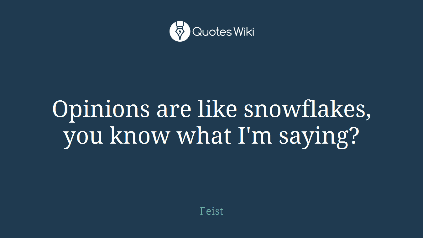 Opinions are like snowflakes, you know what I'm saying?
