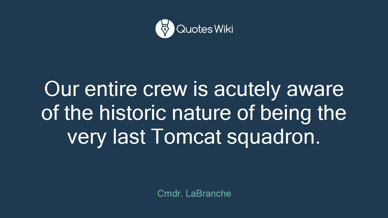 Our entire crew is acutely aware of the historic nature of being the very last Tomcat squadron.
